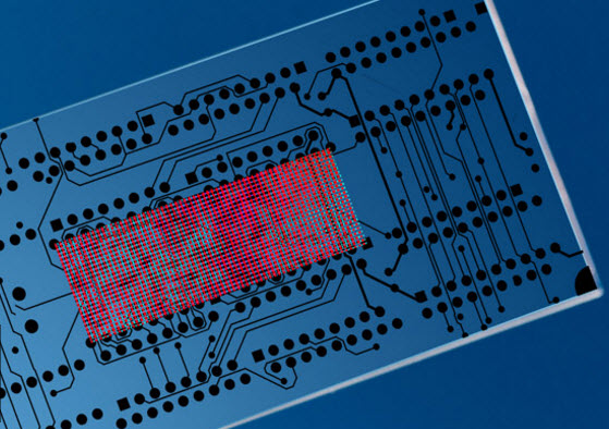 bio chip
