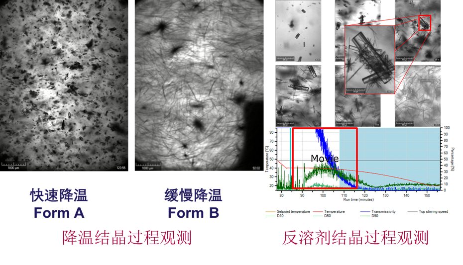 Technobis Crystalline在线晶粒观测模块以监控结晶过程